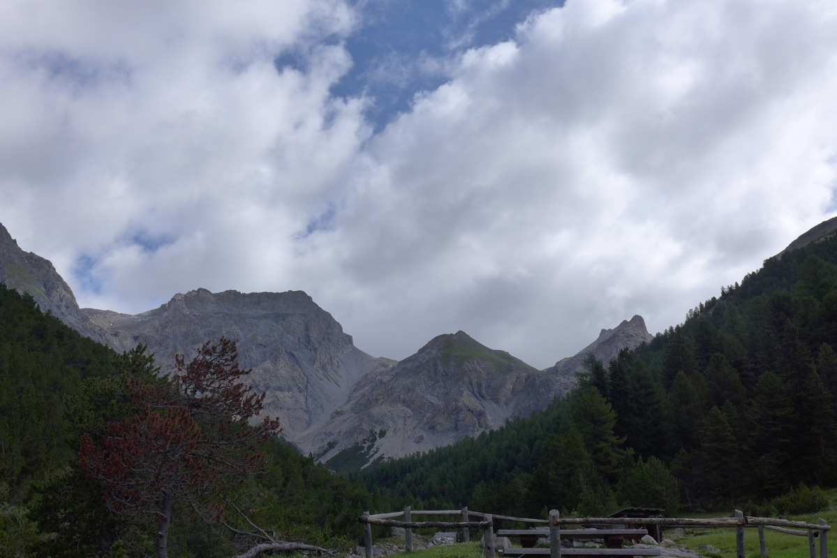 p1000744.jpg