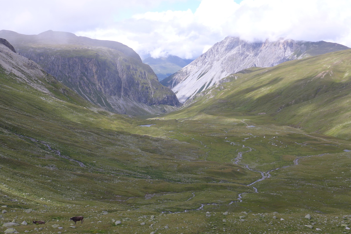 p1000774.jpg