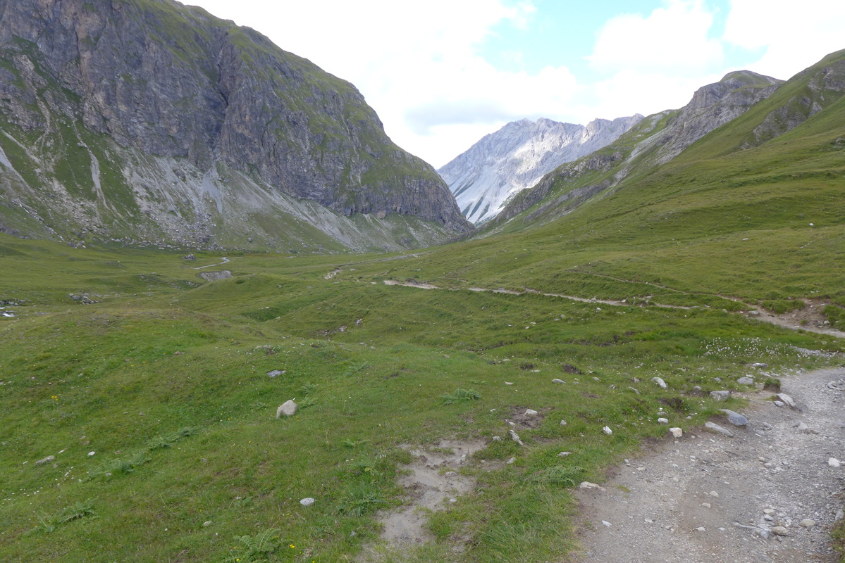 p1000781.jpg