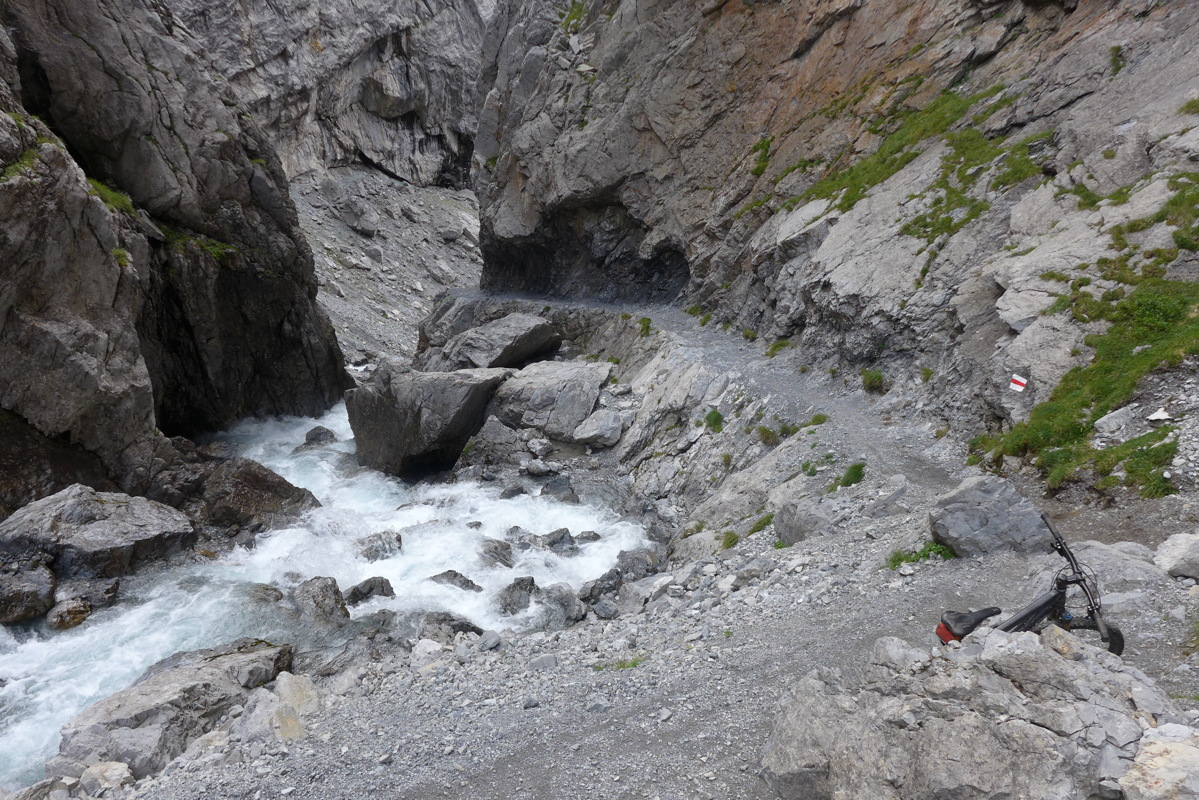 p1000793.jpg