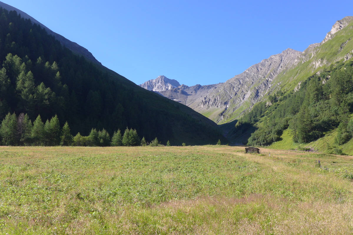 p1000799.jpg