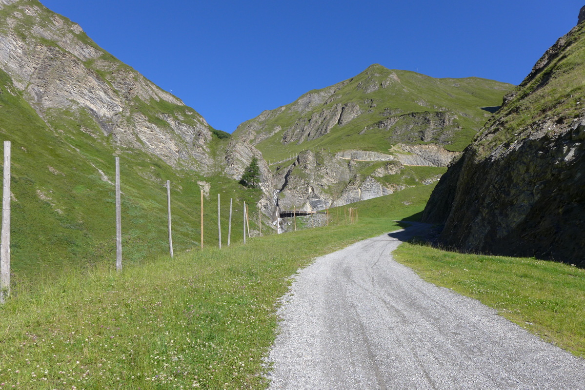 p1000800.jpg