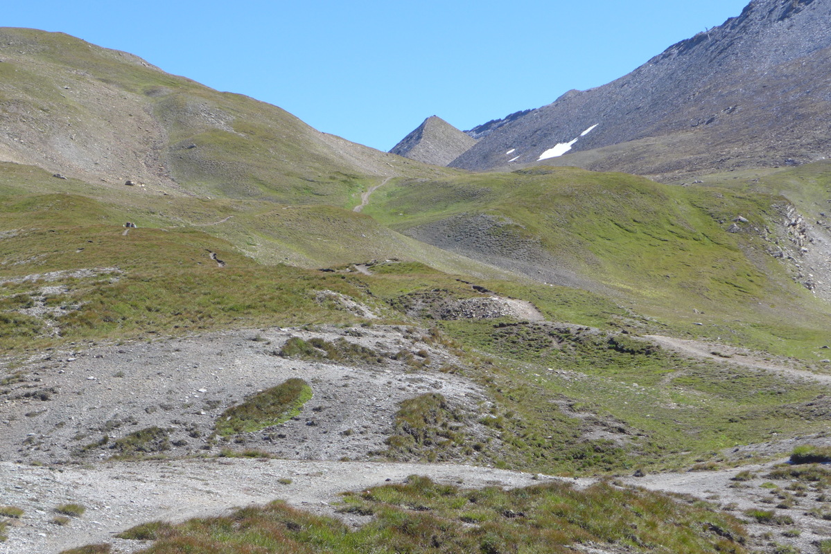 p1000805.jpg