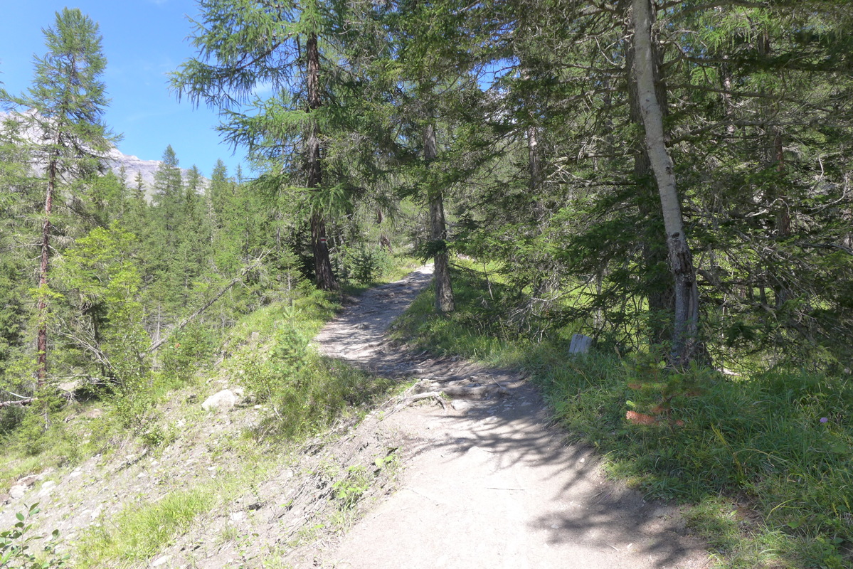 p1000823.jpg