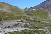 p1000805.jpg