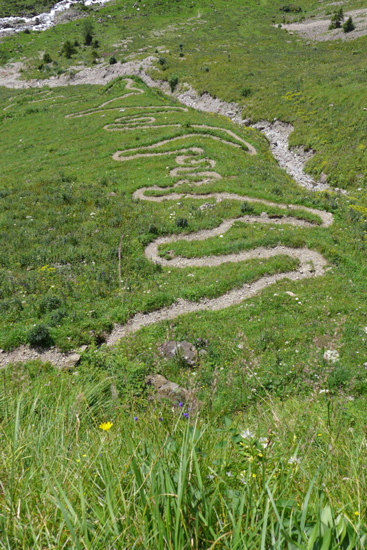 p1000739.jpg
