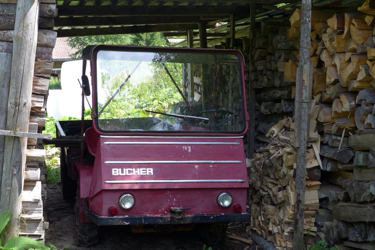 p1000740.jpg