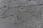 p1000732.jpg