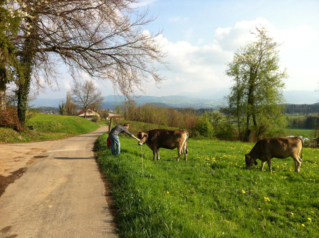 p002.jpg