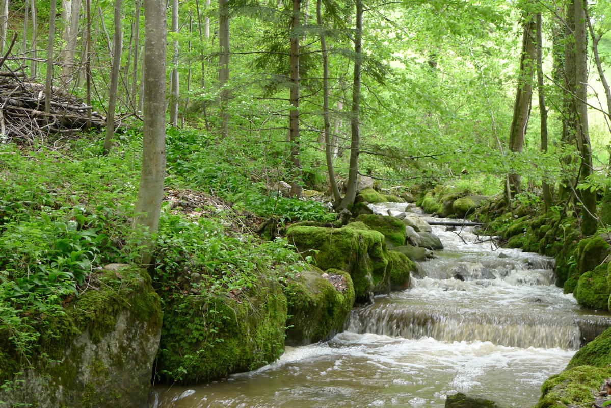 p1080002.jpg