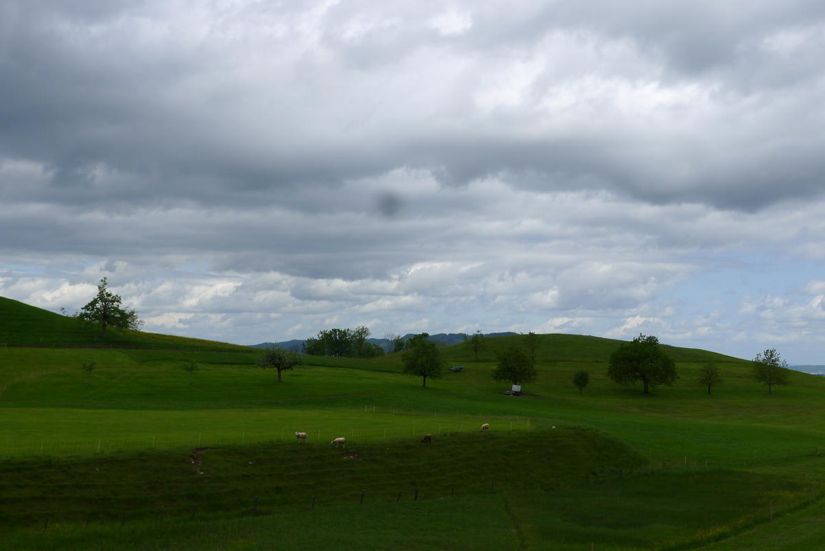 p1080003.jpg
