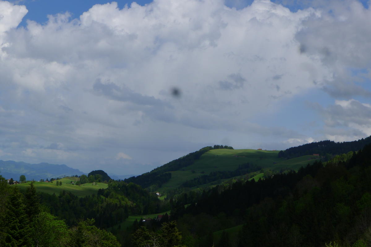 p1080015.jpg