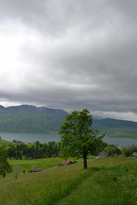 p1080024.jpg