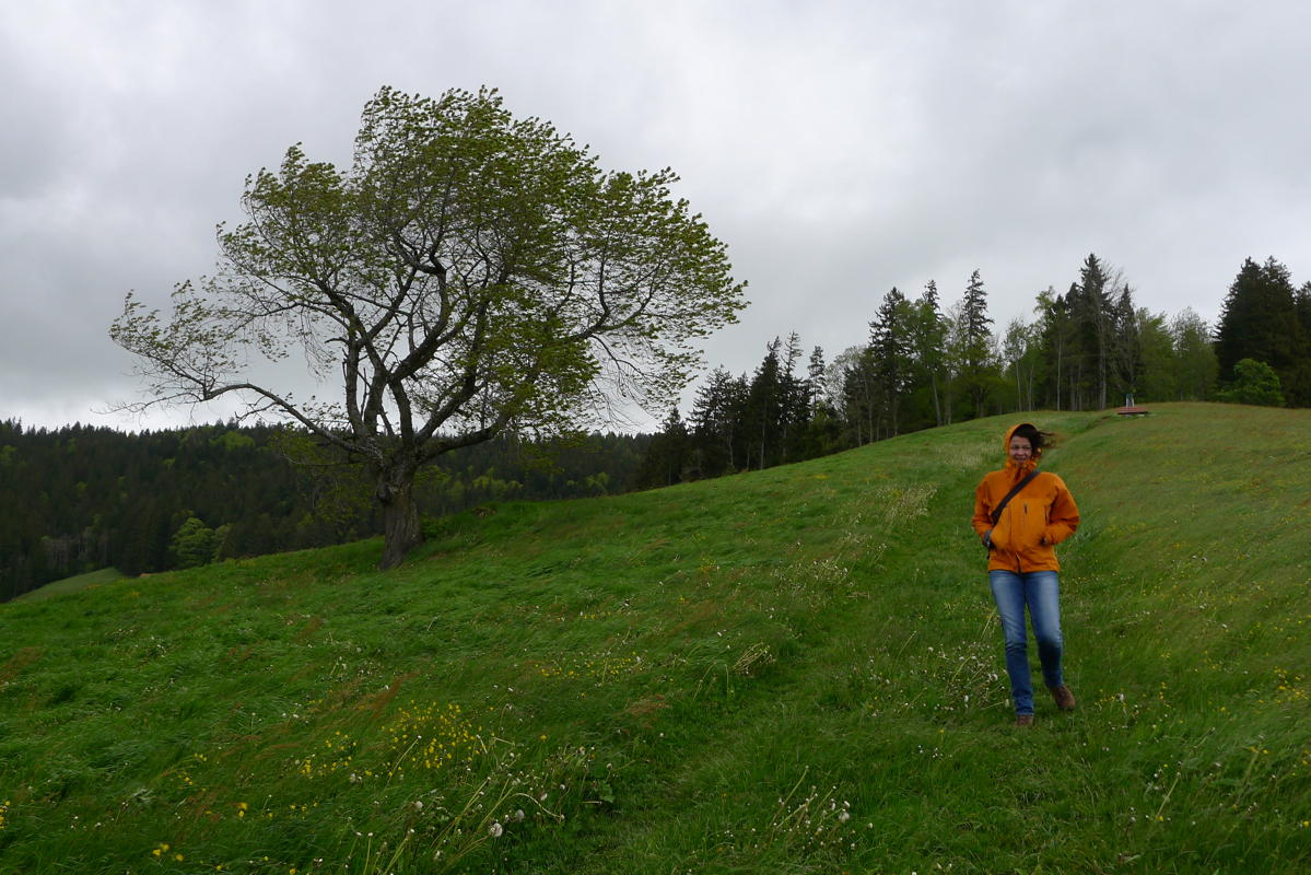 p1080026.jpg