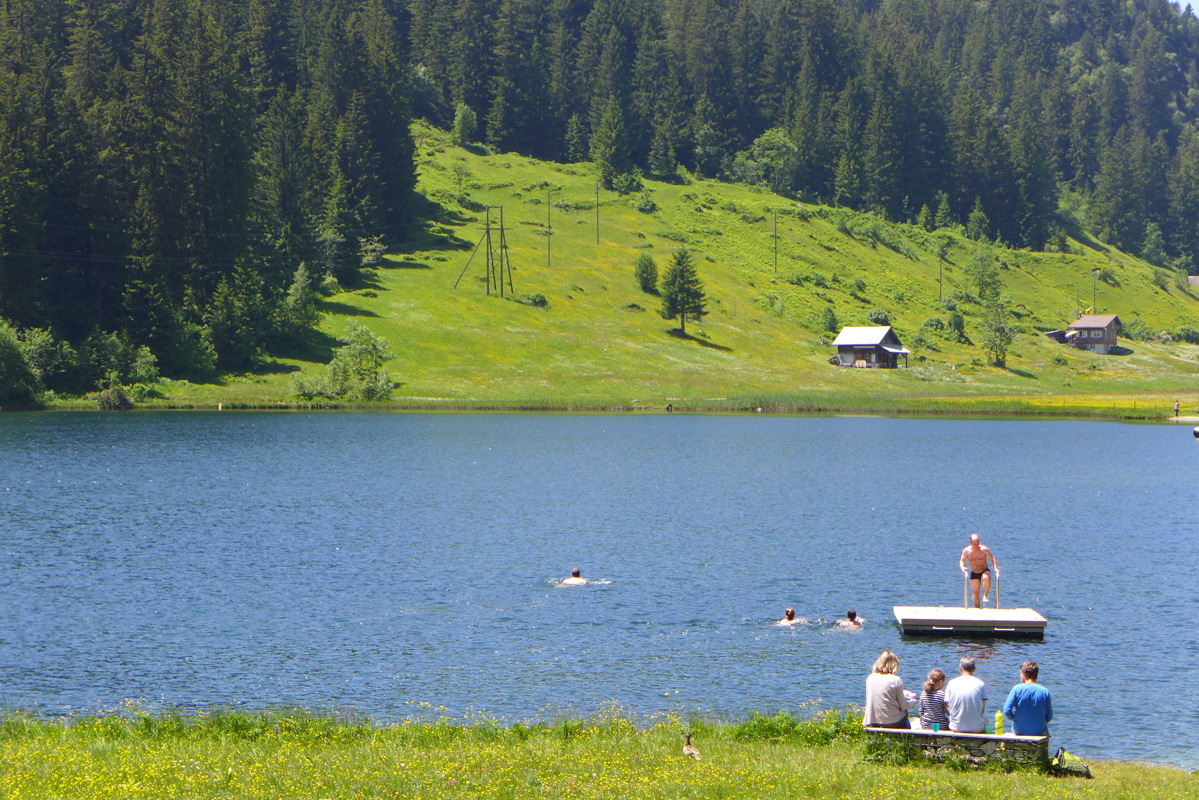 p1000189.jpg