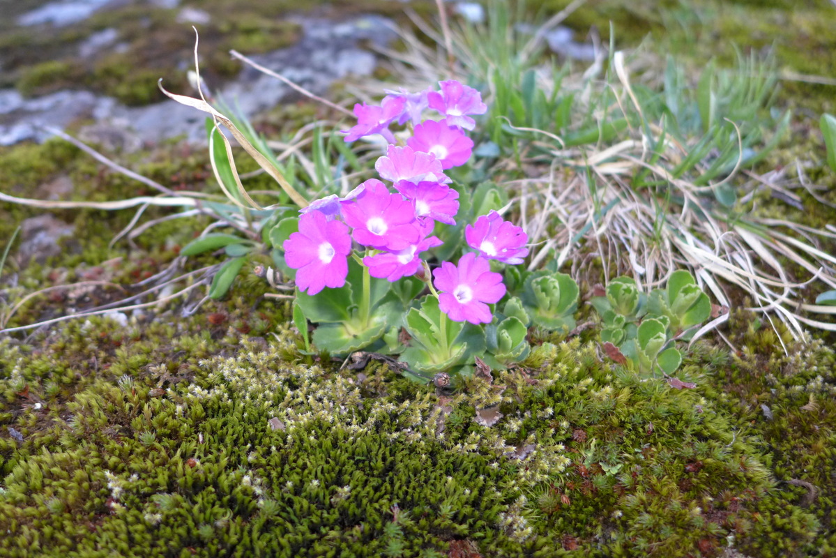 p1000223.jpg