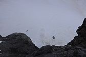 p1000275.jpg