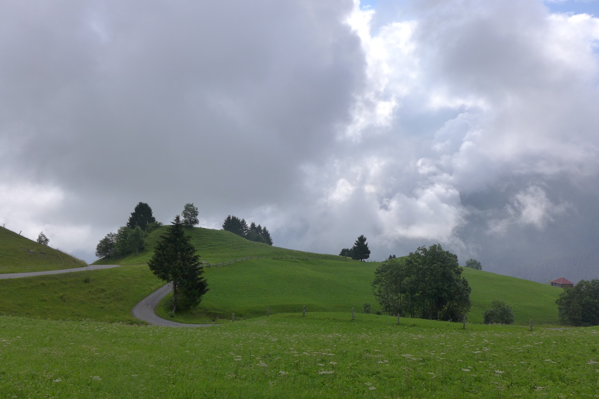 p1000443.jpg