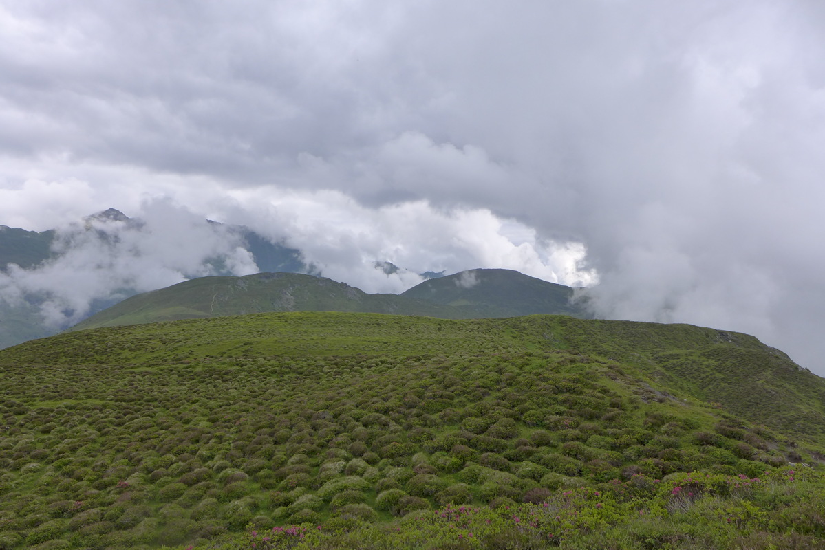 p1000445.jpg