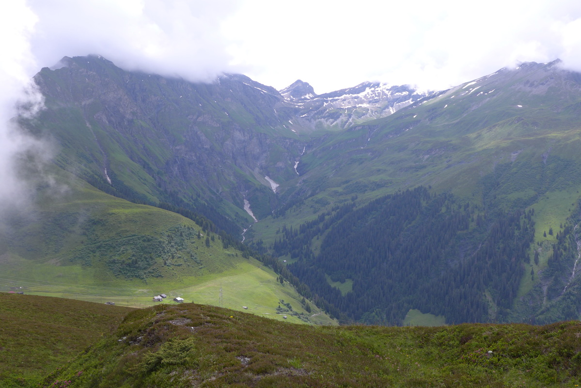 p1000448.jpg