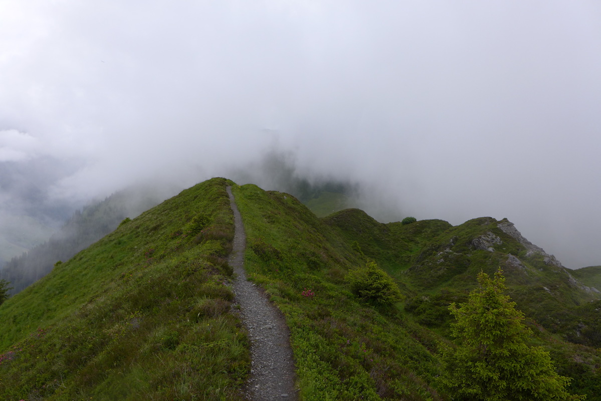 p1000450.jpg