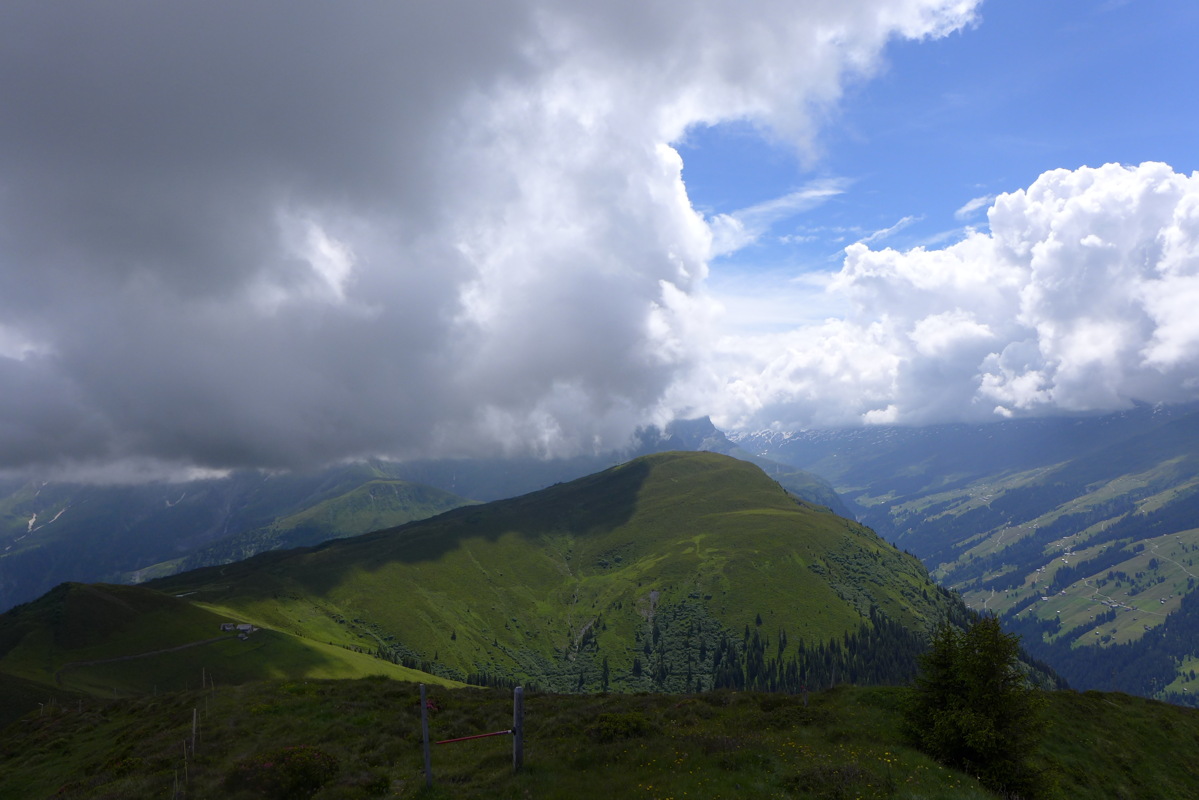 p1000453.jpg