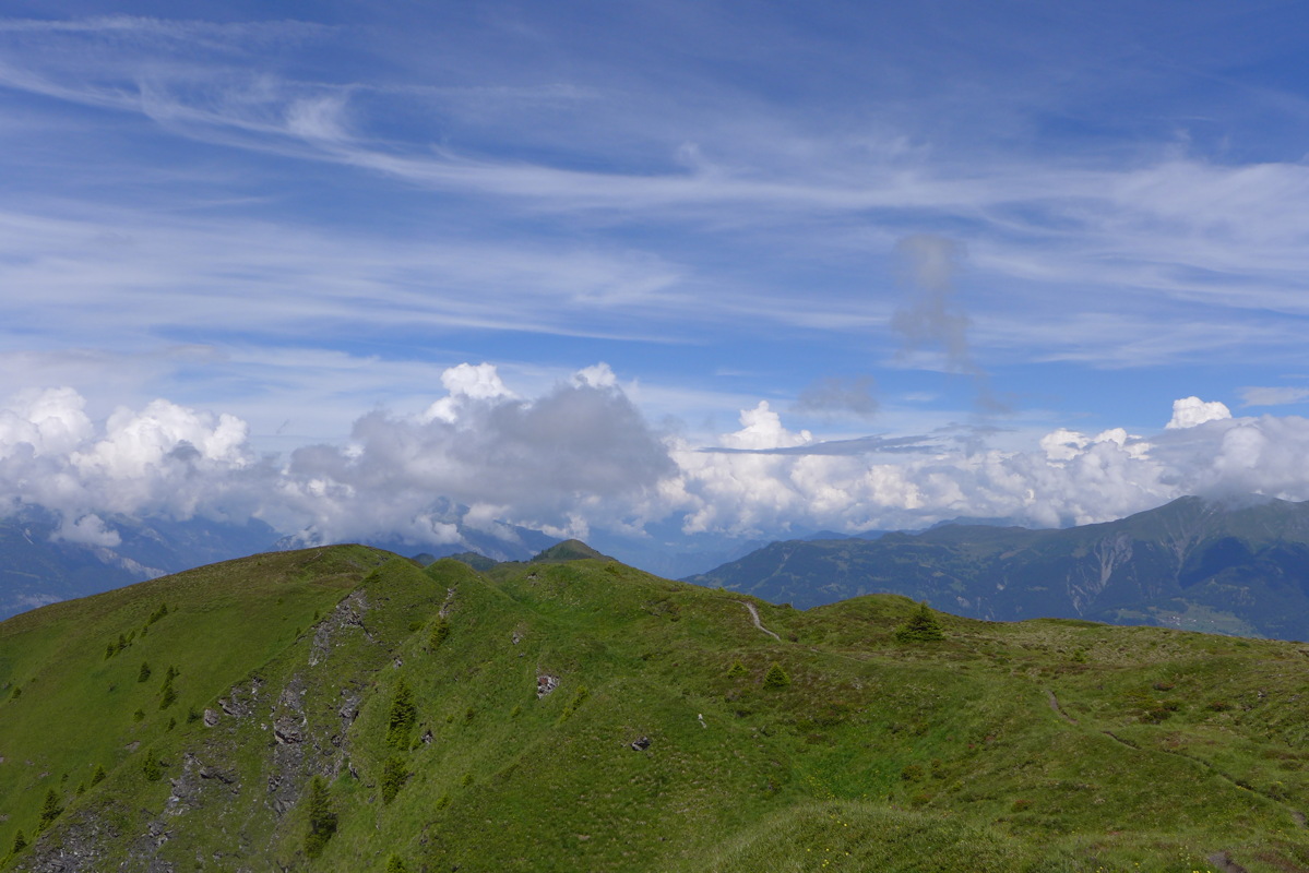 p1000457.jpg