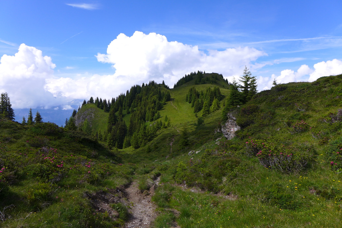 p1000460.jpg