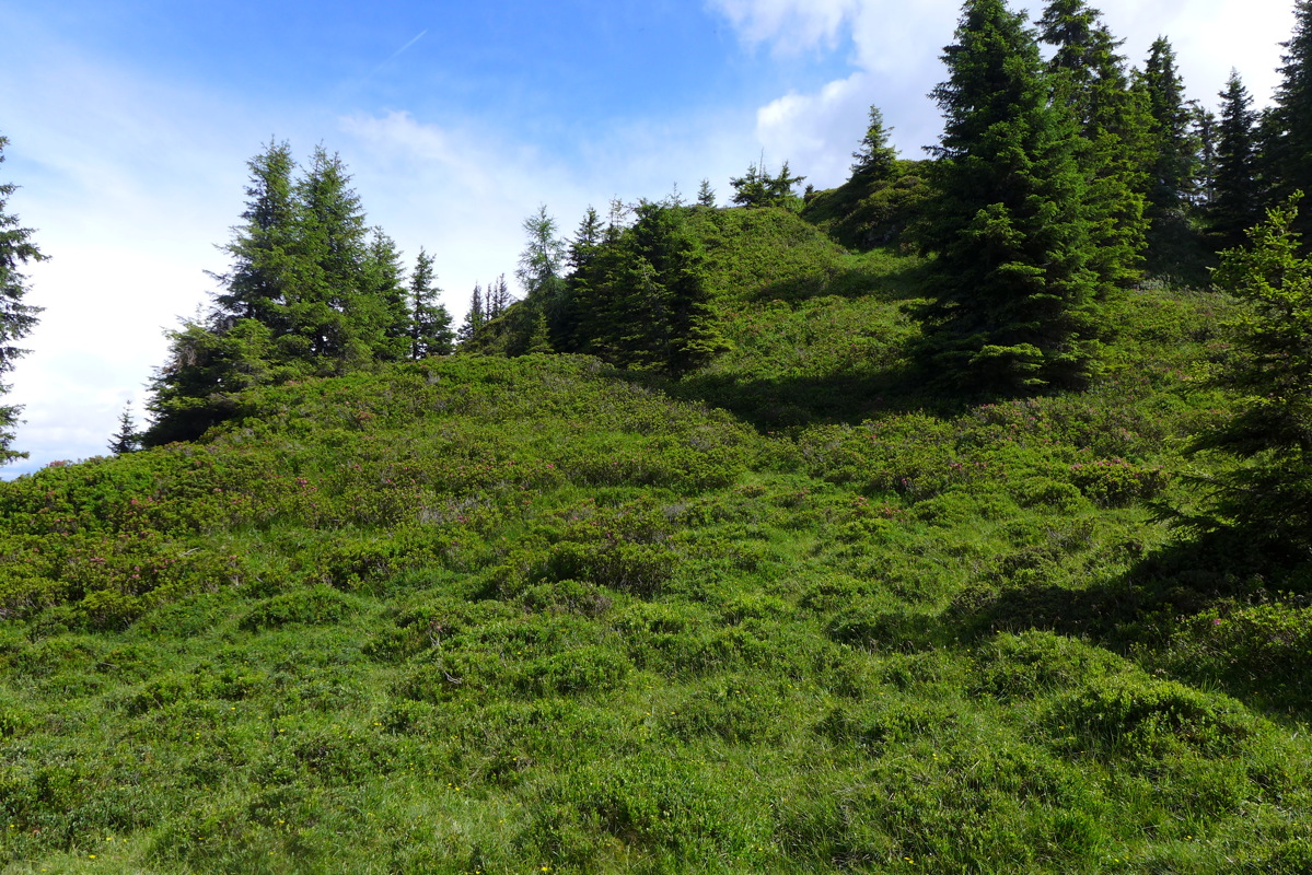 p1000464.jpg