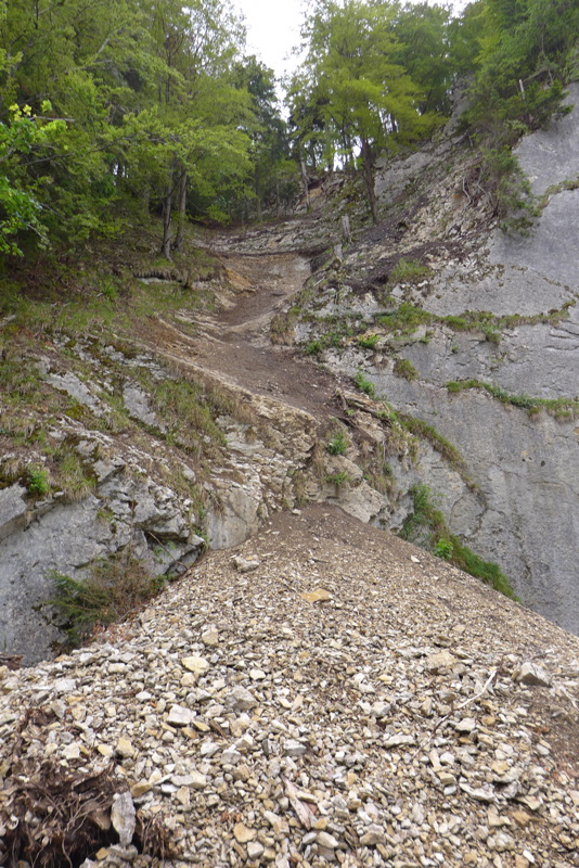 p1000353.jpg