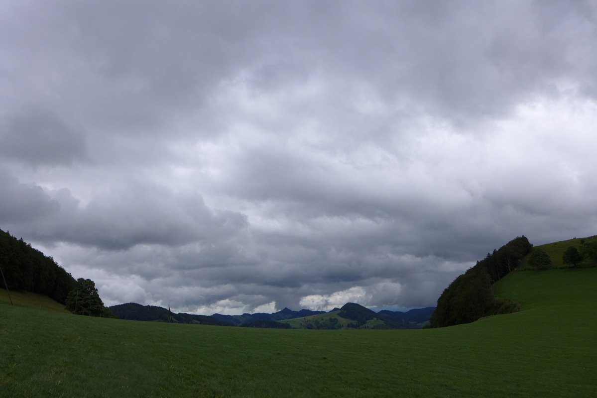 p1000354.jpg