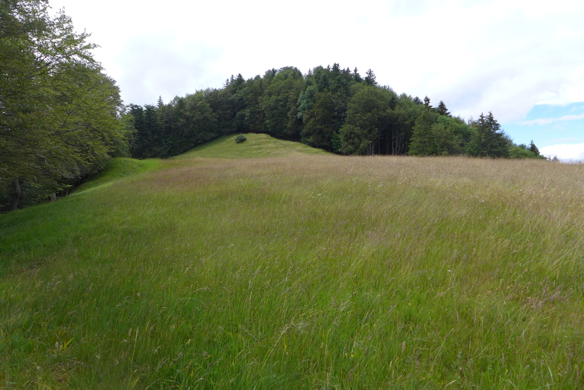 p1000356.jpg