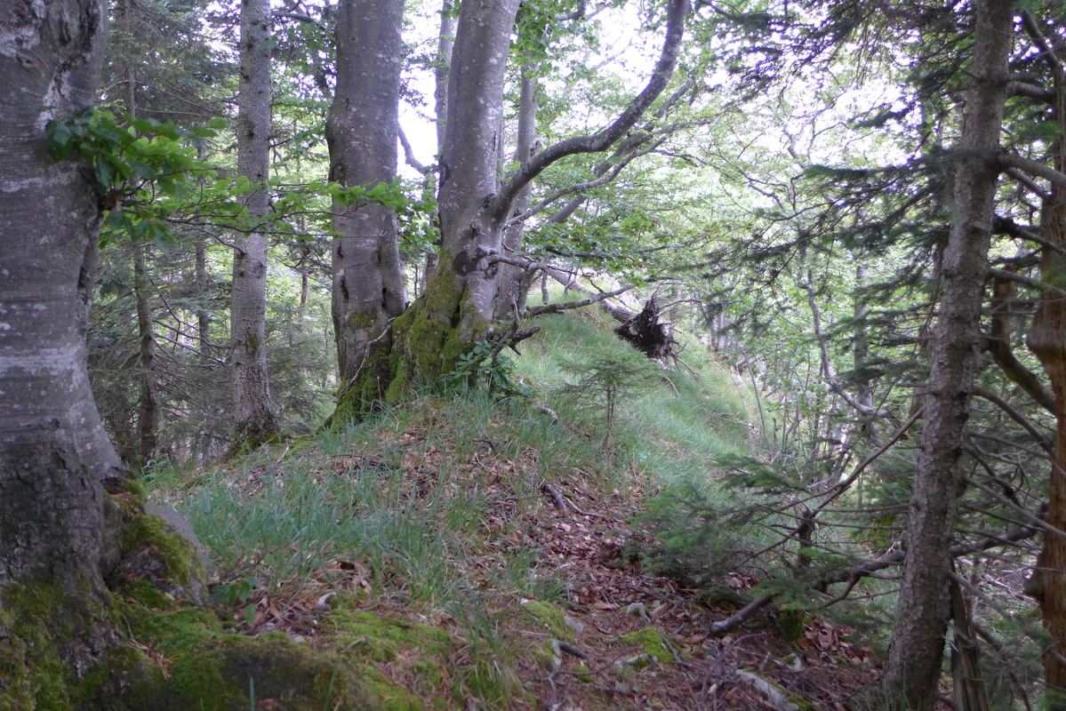 p1000357.jpg