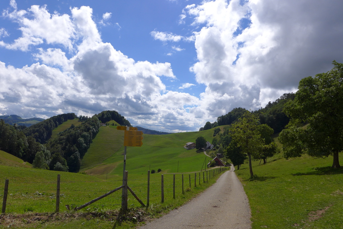 p1000362.jpg