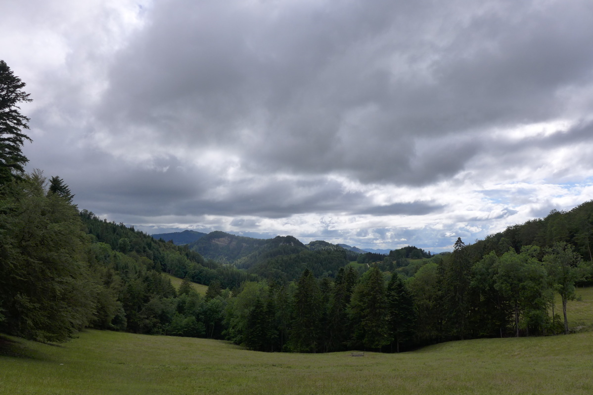 p1000366.jpg