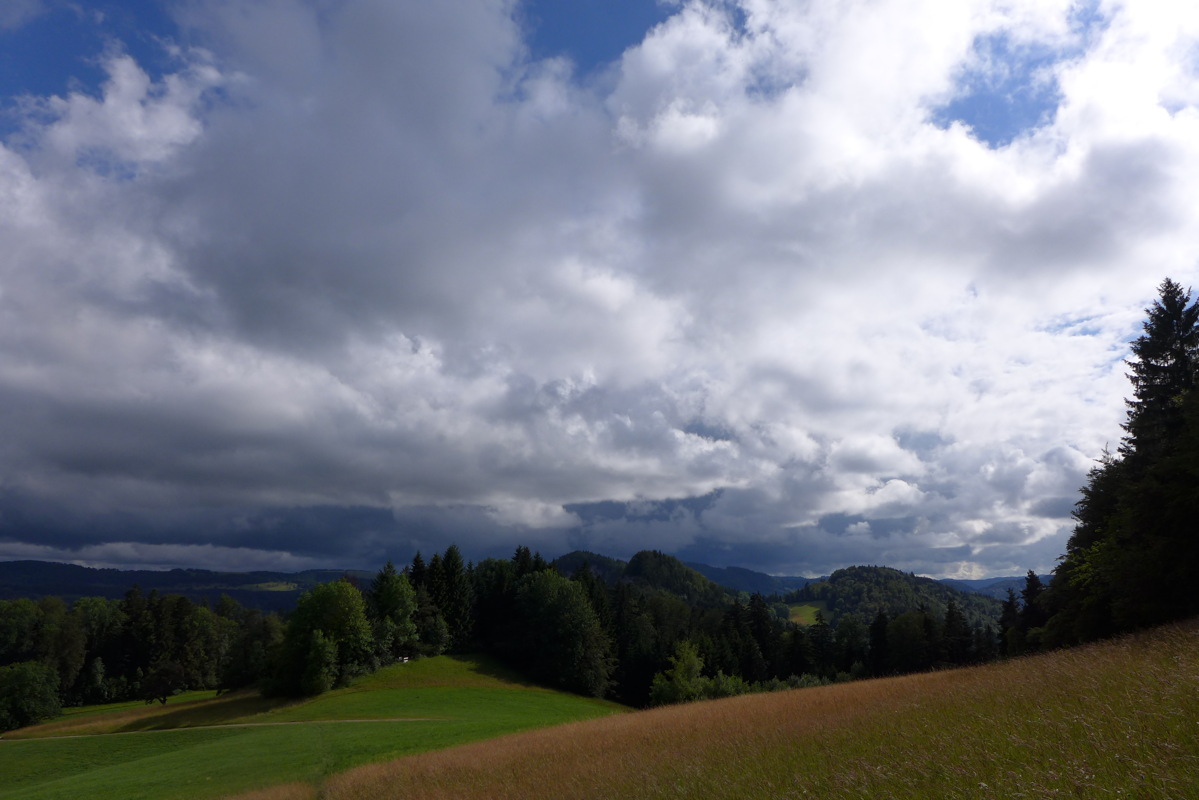 p1000367.jpg
