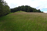 p1000356.jpg
