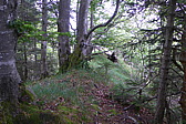 p1000357.jpg