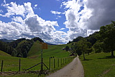p1000362.jpg