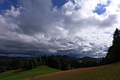 p1000367.jpg