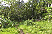 p1000375.jpg