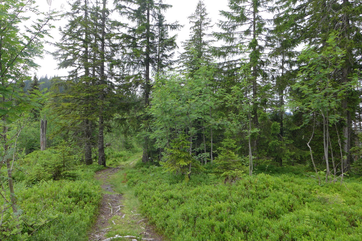 p1000486.jpg