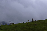 p1000468.jpg