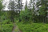 p1000486.jpg