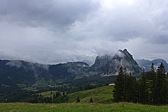 p1000487.jpg