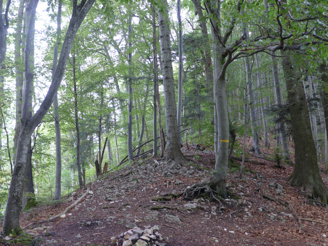 p1000549.jpg