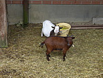 p1000546.jpg