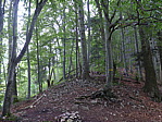 p1000549.jpg
