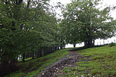 p1000562.jpg