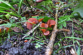 p1000565.jpg